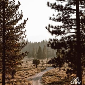 Lofi Focusing Sounds - Study Zone