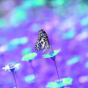 Jazz Piano Duo - Background for Comfortable Moments - Chilled Jazz Cafe BGM Channel