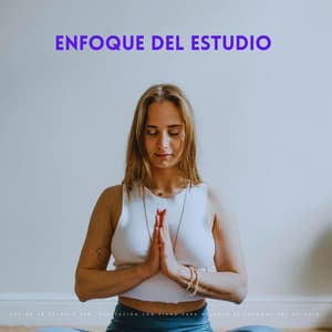 Sesión De Estudio Zen: Meditación Con Piano Para Mejorar El Enfoque Del Estudio - Música de la Oficina