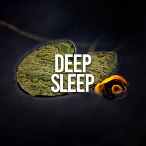 Deep Sleep - Rain Sounds