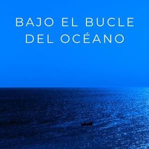 Bajo El Bucle Del Océano - Océano en HD