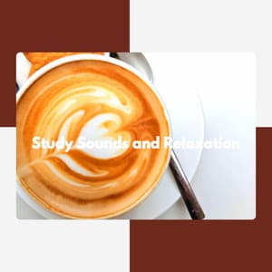 Study Sounds and Relaxation - Musik zum Kochen