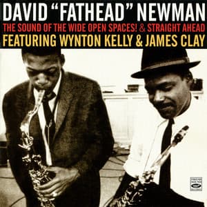 The Sound of the Wide Open Spaces! & Straight Ahead - David "Fathead" Newman