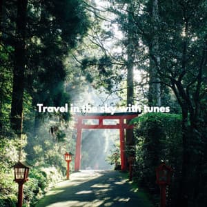 Travel in the sky with tunes - Jazz Lounge Playlist