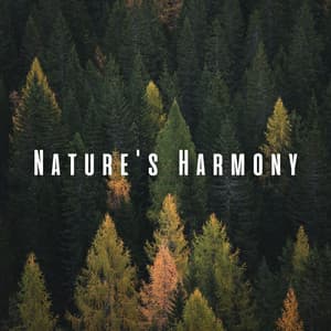Nature's Harmony: Chill Sounds for Concentrated Attention - Nature Sounds Radio