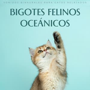 Bigotes Felinos Oceánicos: Sonidos Binaurales Para Gatos Relajados - Ritmos Binaurales MT