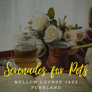 Jazz Paws: Coffee Lounge Serenades for Pets - Coffee Lounge Jazz Band Chill Out