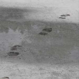 Manhattan Jazz Club - Jazzy Coffee