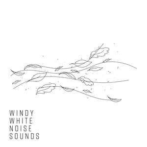 Windy White Noise Sounds - White Noise Universe