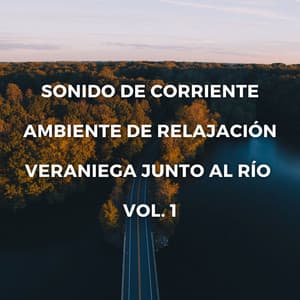 Sonido De Corriente: Ambiente De Relajación Veraniega Junto Al Río Vol. 1 - Terapia de naturaleza