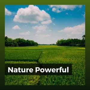 Nature Powerful - Soothing Nature Sounds