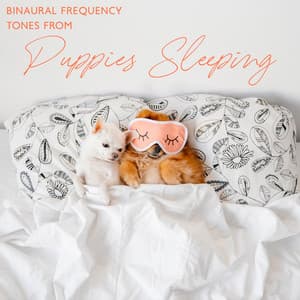 Binaural Frequency Tones from Puppies Sleeping: Behavioral Therapy for Dogs and Cats, Reduce Separation Anxiety, Calm Your Pets - Sofi Solfeggio