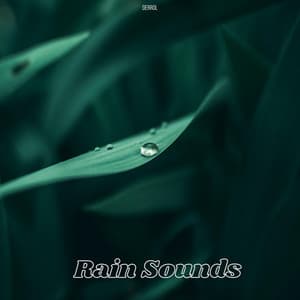 Rain Sounds - Derrol