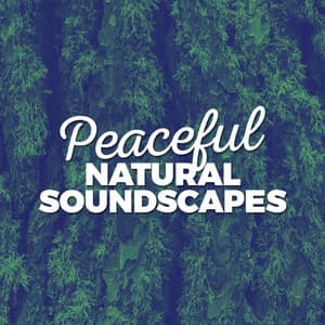 Peaceful Natural Soundscapes - Soundscapes