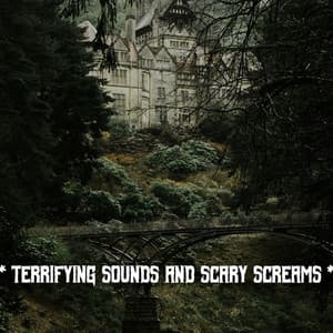 * Terrifying Sounds And Scary Screams * - The Haunted House of Horror Sound Effects