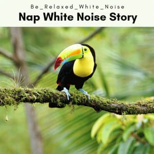 A Nap White Noise Story - Be Relaxed White Noise