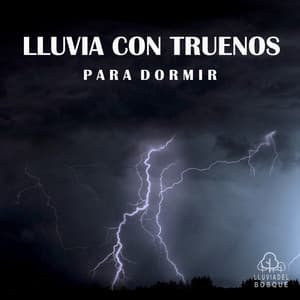 Lluvia Con Truenos para Dormir - Lluvia Del Bosque