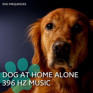 Dog at Home Alone 396 Hz Music - Dog Therapy Zone