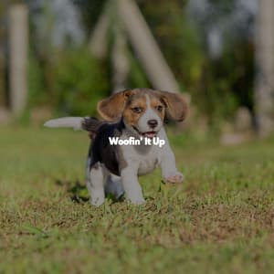 Woofin' It Up - Summer Chilling Jazz