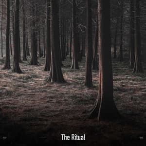 !!!!" The Ritual "!!!! - The Citizens of Halloween