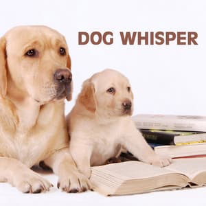 Dog Whisper: Relaxation Music and Calming Music for Dog, Whisperer in Wildlife - Dog Whisper