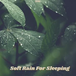 Soft Rain For Sleeping - Derrol