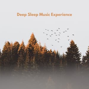 Deep Sleep Music Experience - Sleeping Music