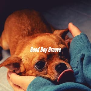 Good Boy Groove - Calming Dog Jazz