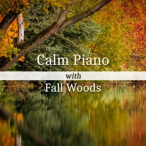 Calm Piano with Fall Woods - Forest Hills Music Universe