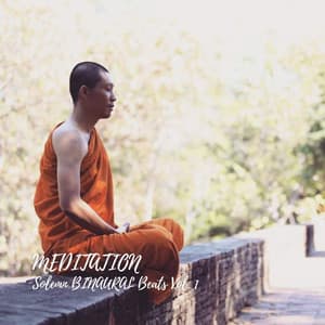 MEDITATION: Solemn BINAURAL Beats Vol. 1 - Color Noise Therapy