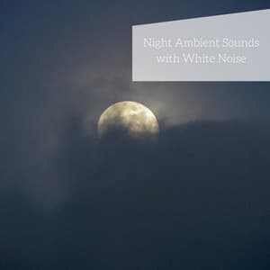 Night Ambient Sounds with White Noise, Loopable - In Beautiful Nature