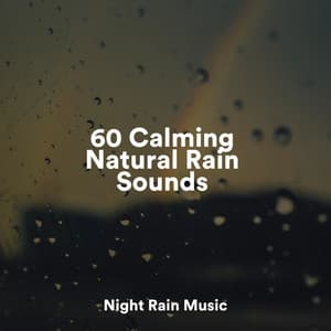 60 Calming Natural Rain Sounds - Sound of Rain