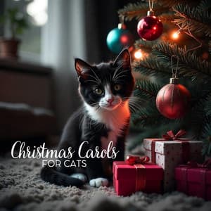 Christmas Carols for Cats - Ultimate Christmas Songs