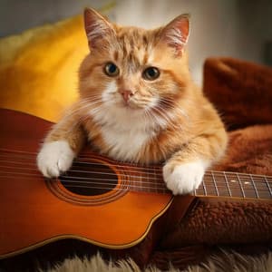 Playful Strings: Guitar Music for Cats - Global Guitars