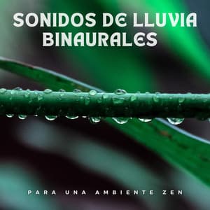 Sonidos De Lluvia Binaurales Para Una Ambiente Zen - Meditaciones de lluvia