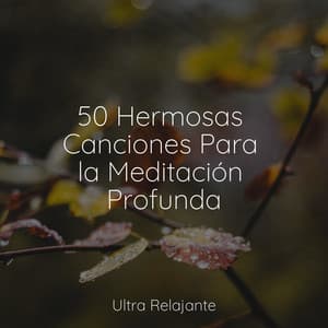 50 Hermosas Canciones Para la Meditación Profunda - Sons da natureza HD