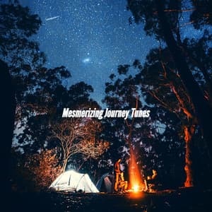 Mesmerizing Journey Tunes - Sensual Jazz Trio
