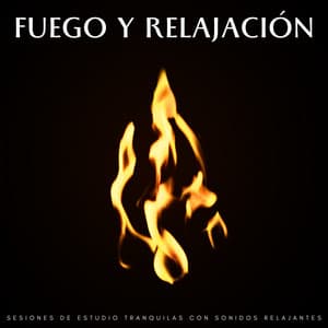 Fuego Y Relajación: Sesiones De Estudio Tranquilas Con Sonidos Relajantes - Estudio de ritmos binaurales puros
