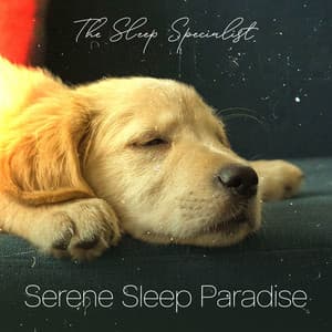 Serene Sleep Paradise - The Sleep Specialist