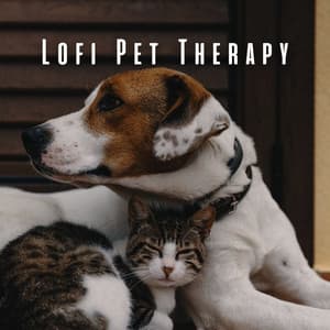 Lofi Pet Therapy: Calming Sounds for a Happy Pet - Calm Pets Music Academy