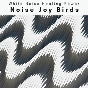 3 2 1 Noise Joy Birds - White Noise Healing Power