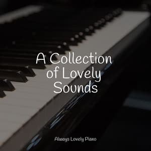 Sounds for an Ultimate Calm - Classical Piano Music Masters