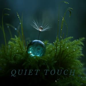 Quiet Touch - Jerry Goldstun