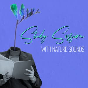 Study Session with Nature Sounds - Study Piano Music Ensemble
