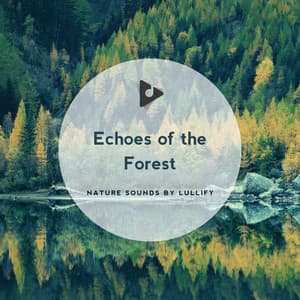 Echoes of the Forest - Nature Sounds by Lullify