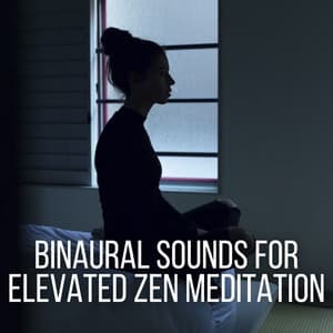 Binaural Sounds for Elevated Zen Meditation - Reiki harmonia