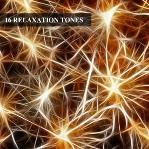 16 Relaxation Tones - White Noise Relaxation