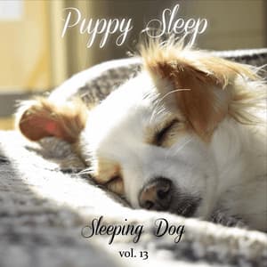 Sleeping Dog, Vol. 13 - Puppy Sleep