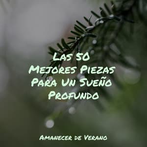 Las 50 Mejores Piezas Para Un Sueño Profundo - Smart Baby Lullaby