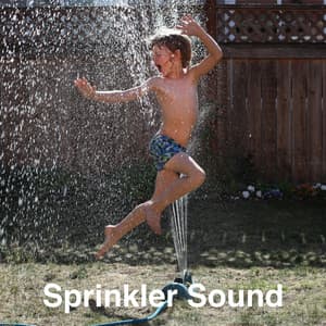 Sprinkler Sound - White Noise Collectors